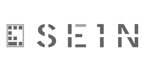 sein-ram-infotechnology